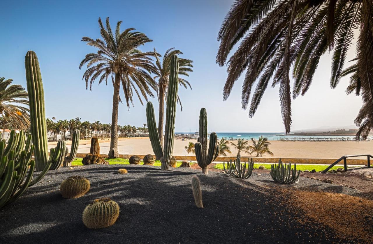 فندق Barcelo Fuerteventura Royal Level - Adults Only كاليتا ذي فوستي المظهر الخارجي الصورة